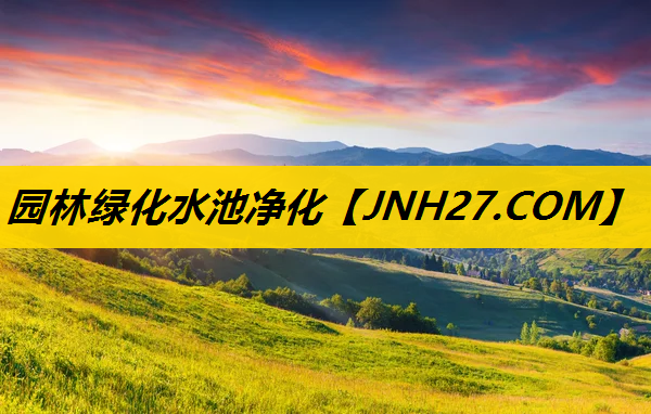 园林绿化水池净化
