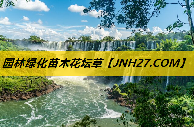 园林绿化苗木花坛草